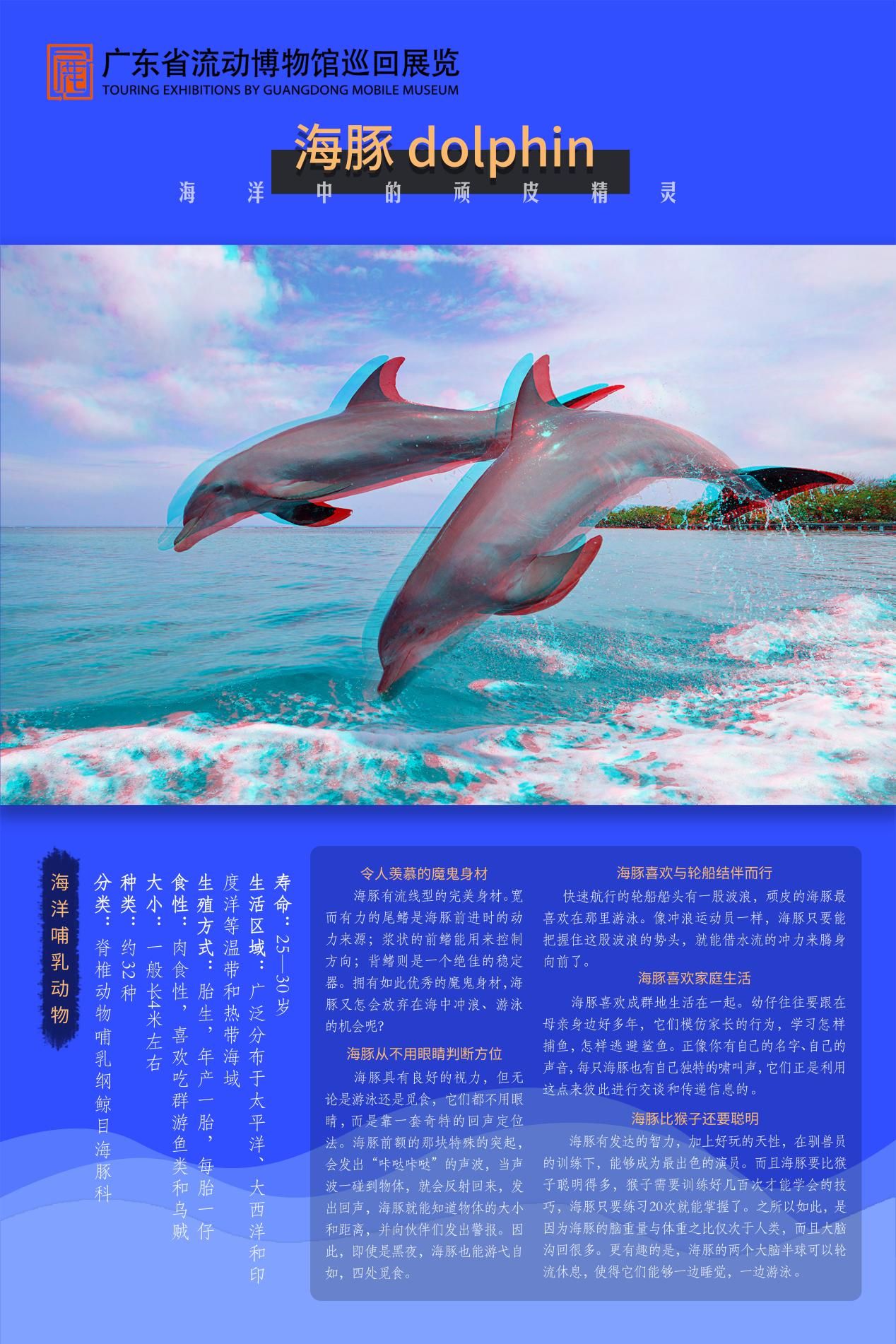 图片 3.jpg