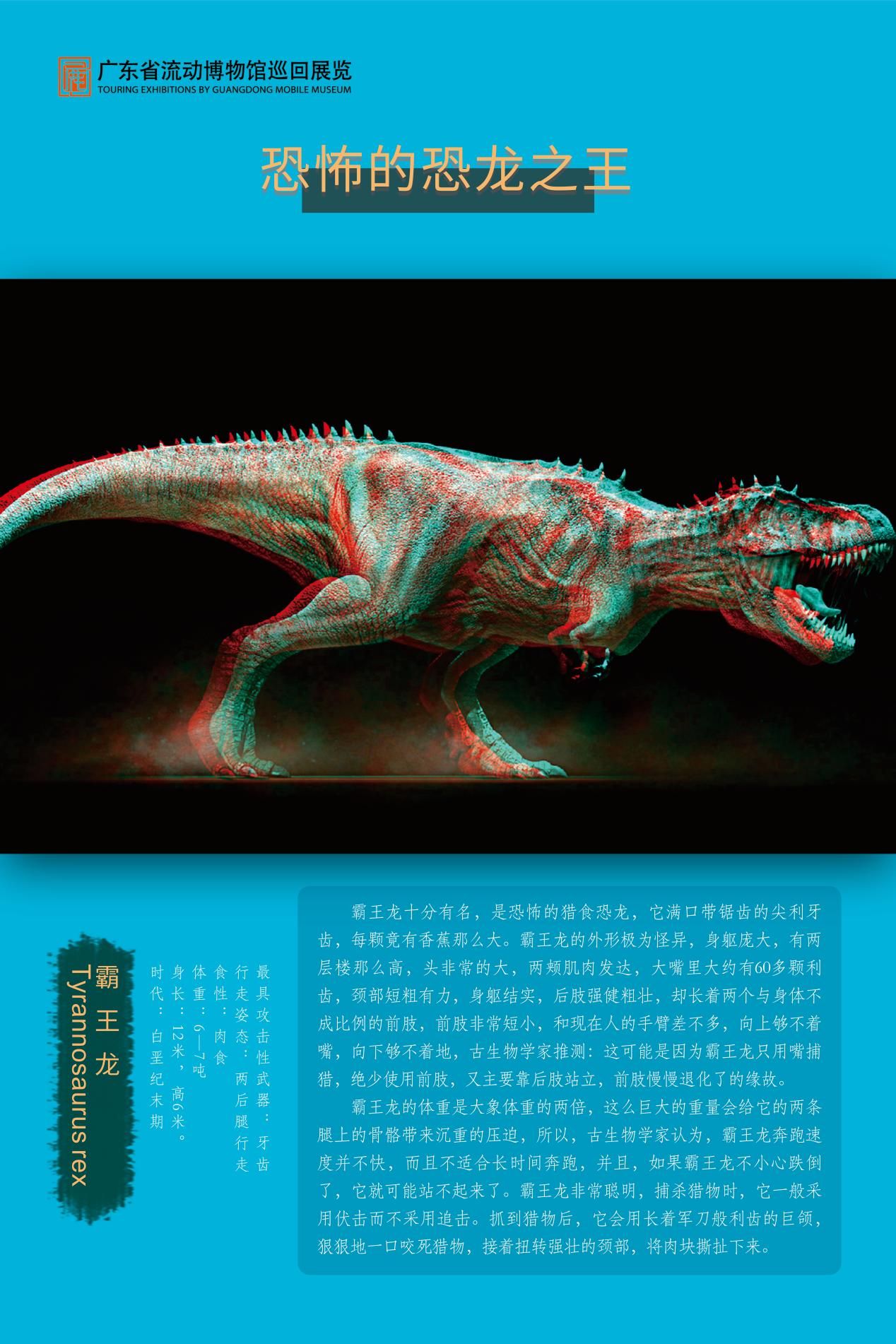 图片 47.jpg