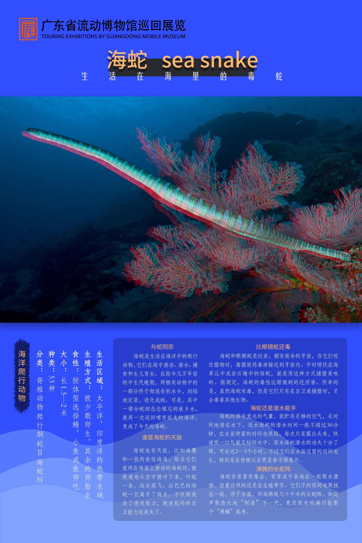 图片 21.jpg