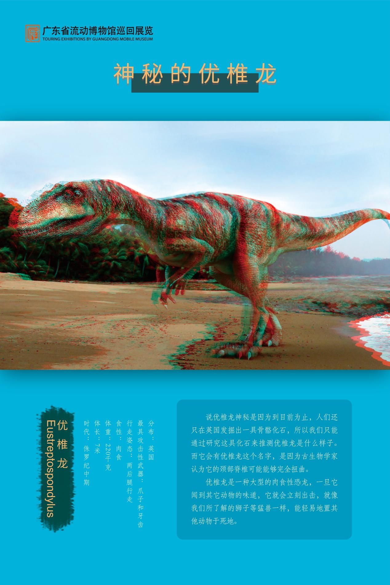 图片 45.jpg