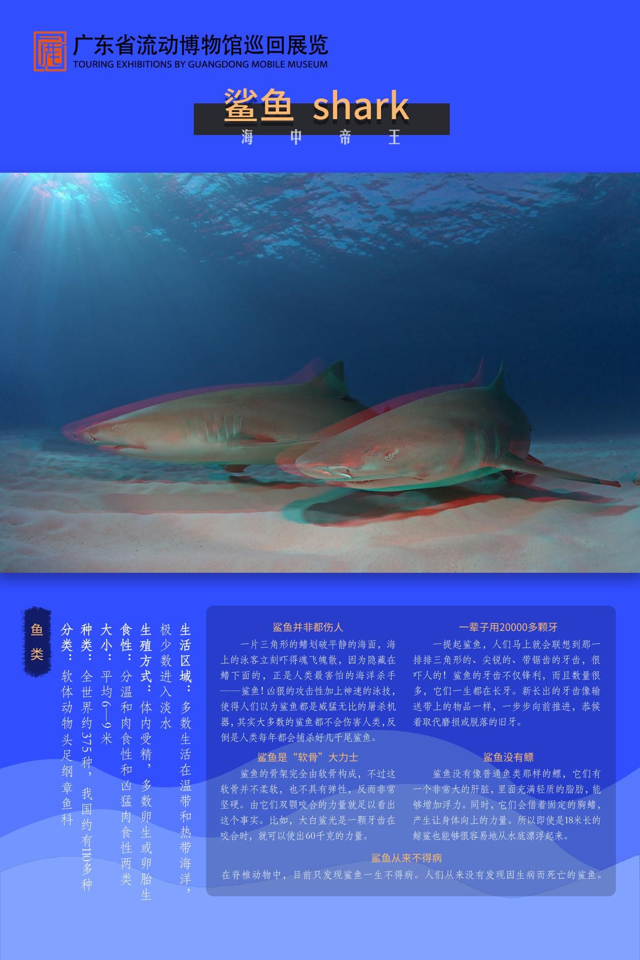 图片 13.jpg