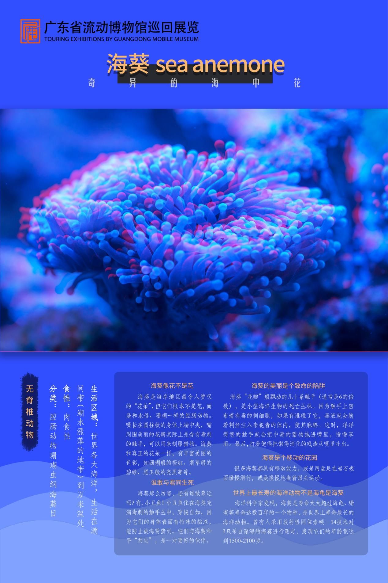 图片 5.jpg
