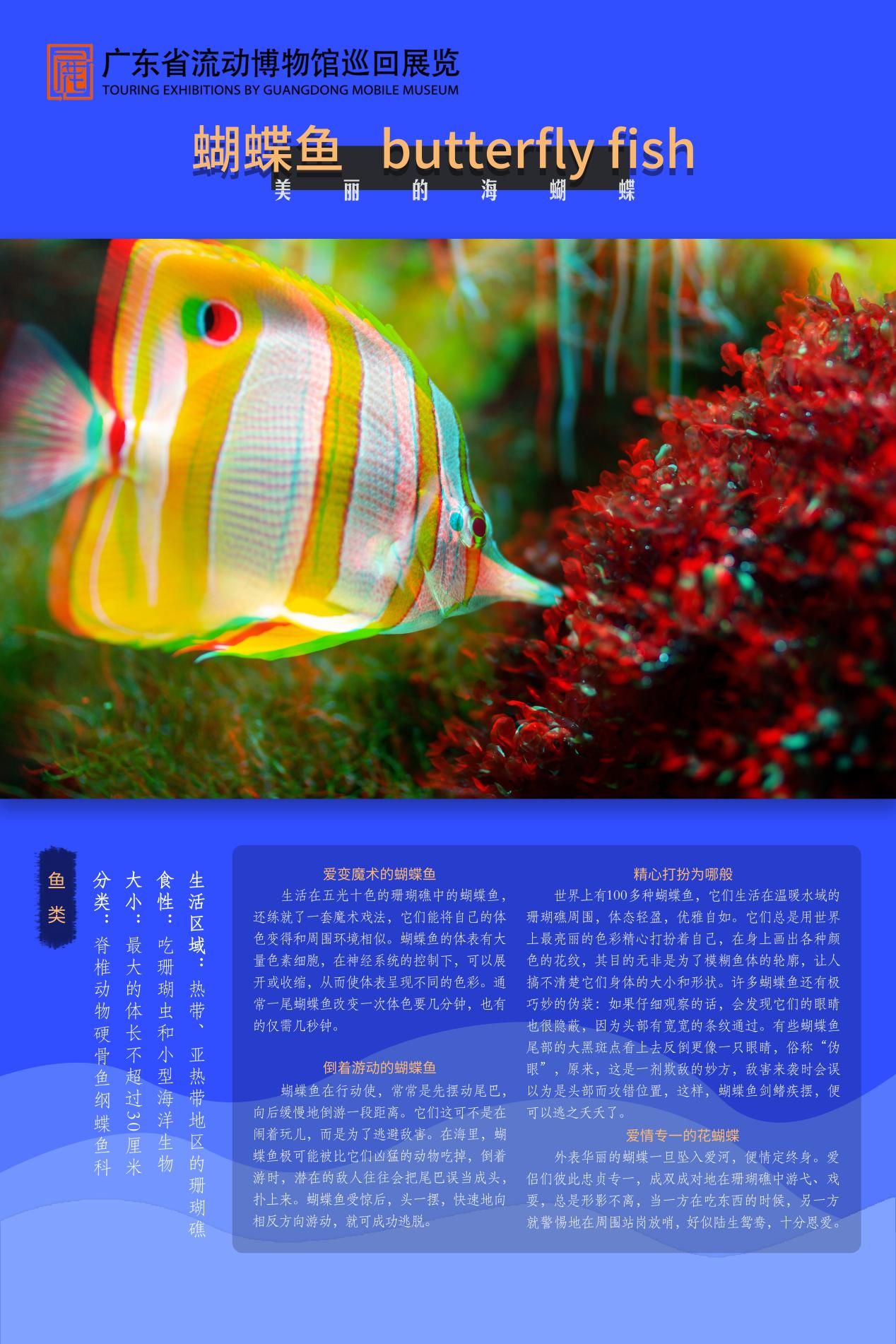 图片 17.jpg