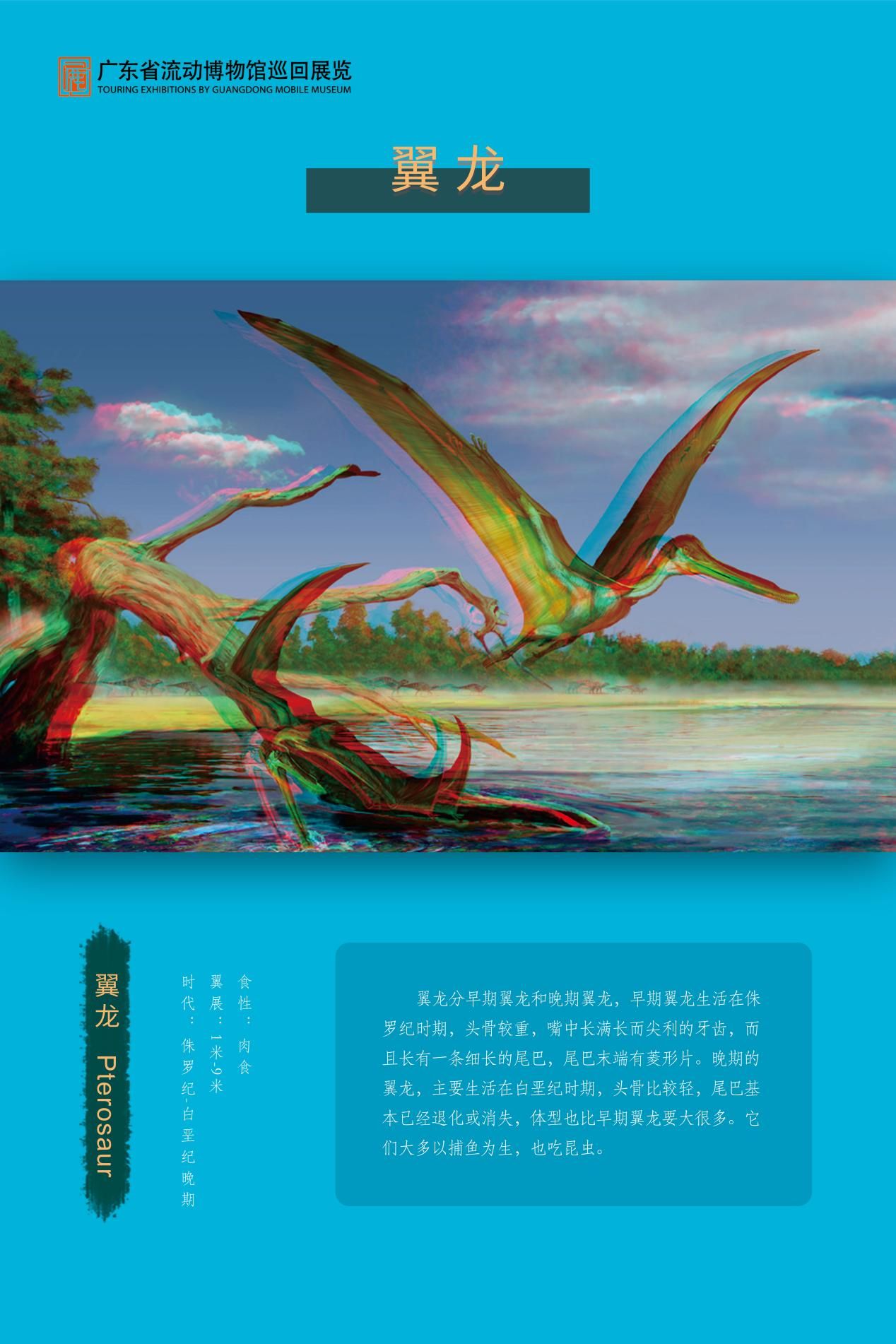 图片 40.jpg