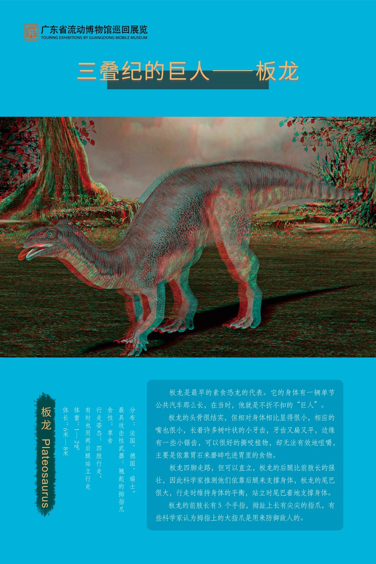 图片 31.jpg