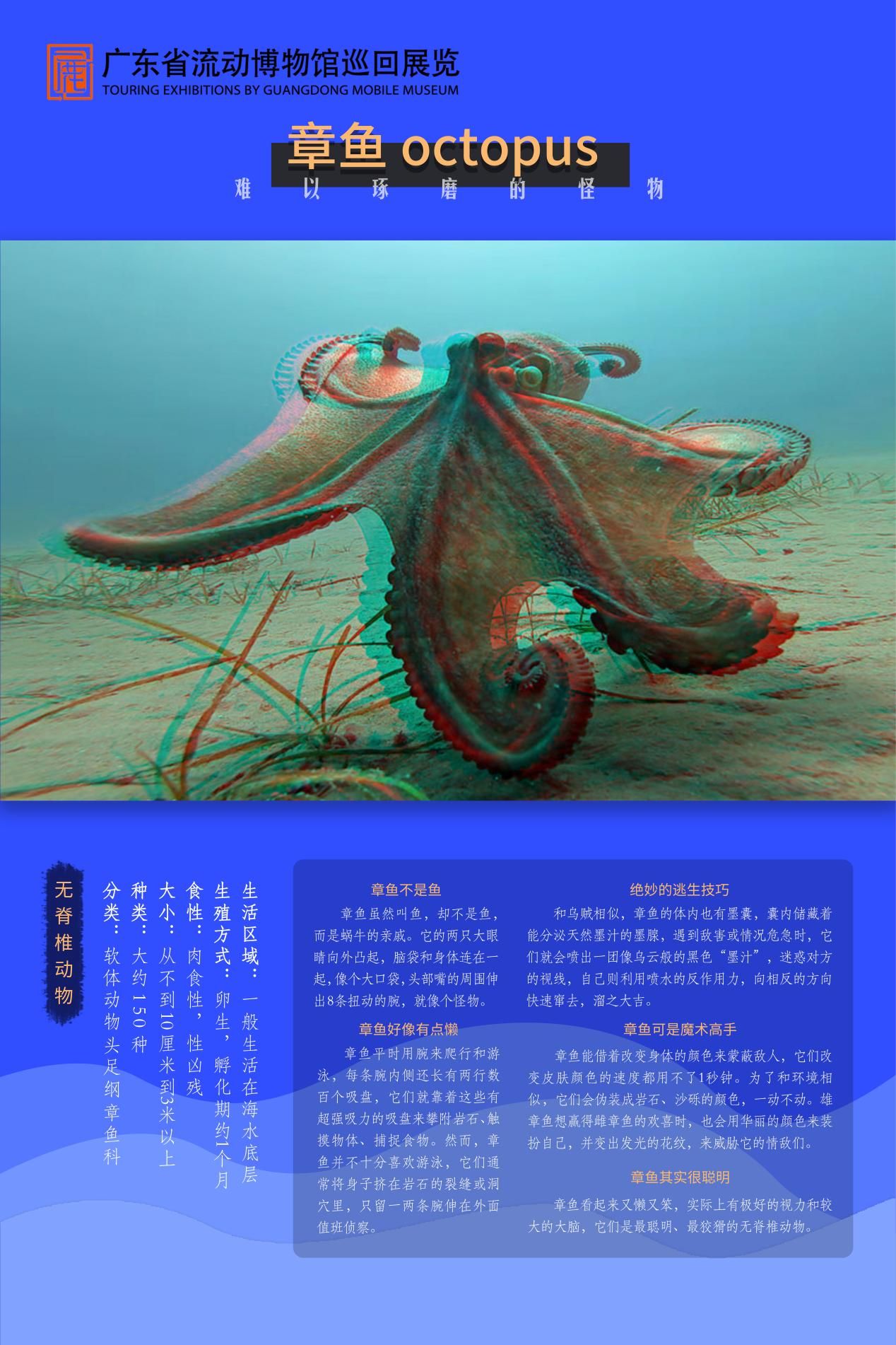 图片 7.jpg