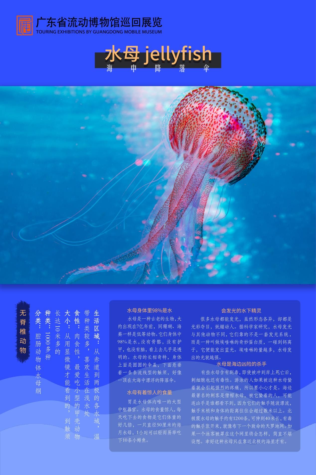 图片 8.jpg