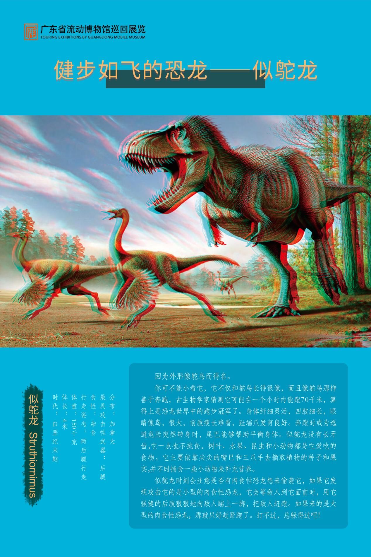图片 38.jpg