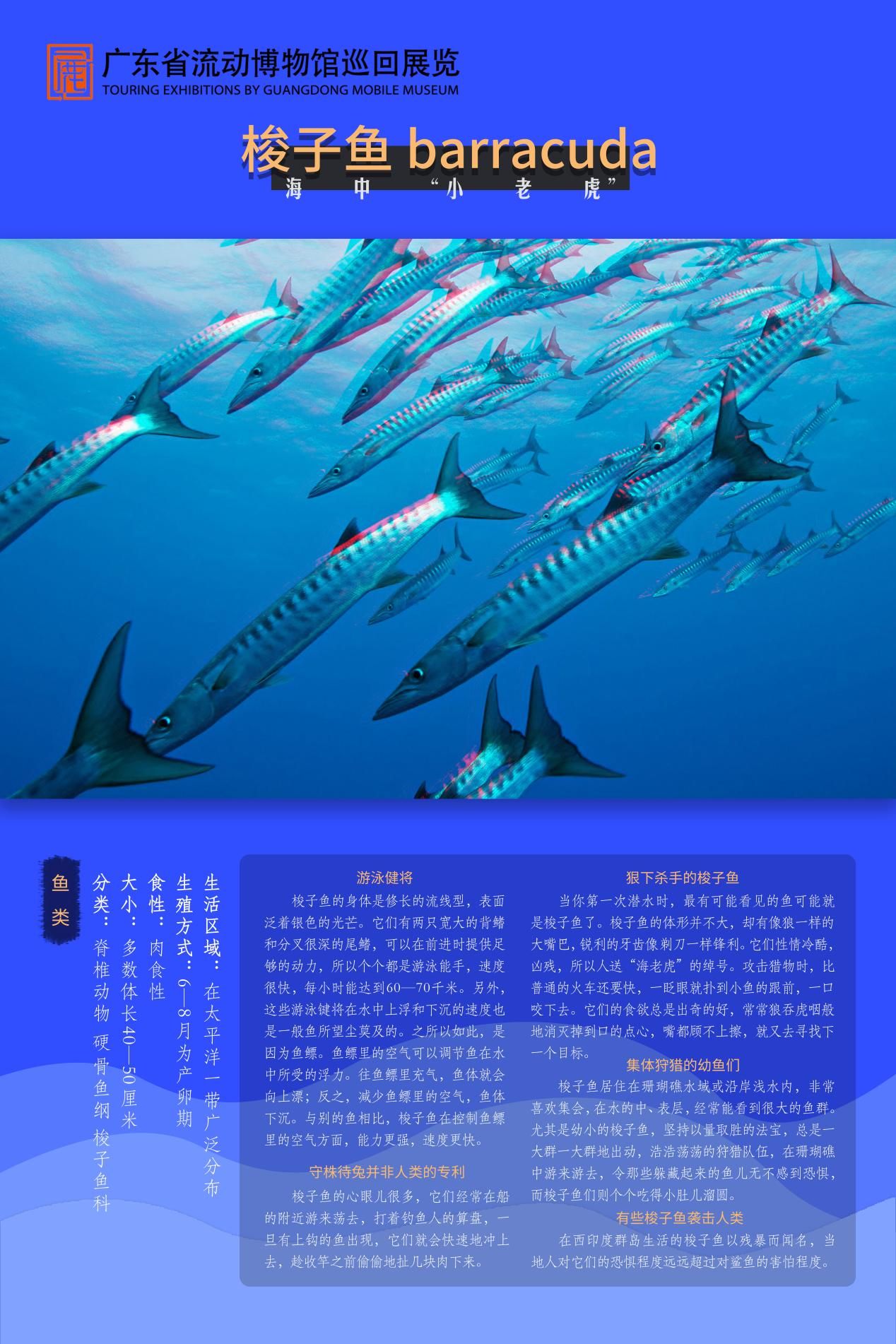 图片 16.jpg