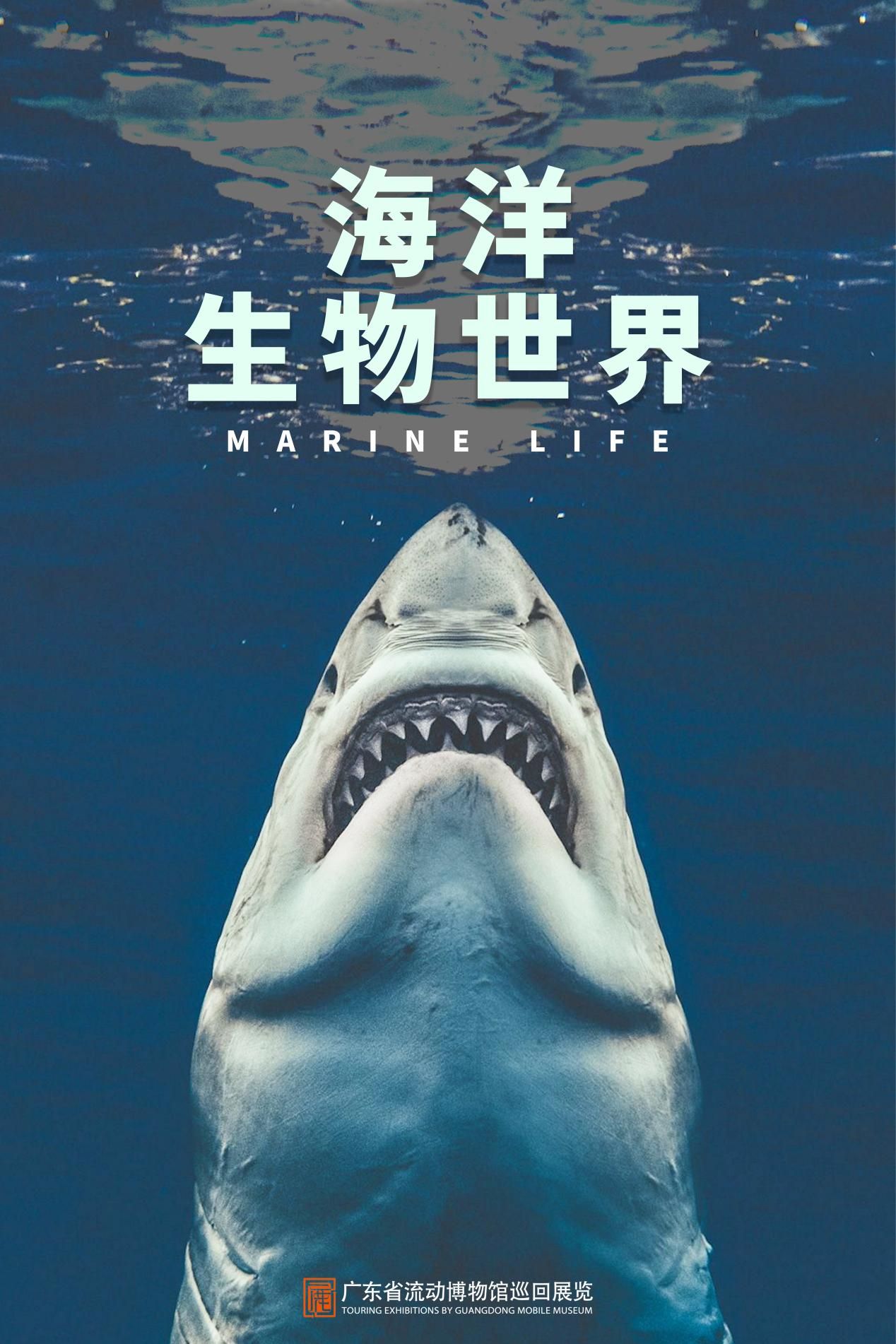 图片 4.jpg