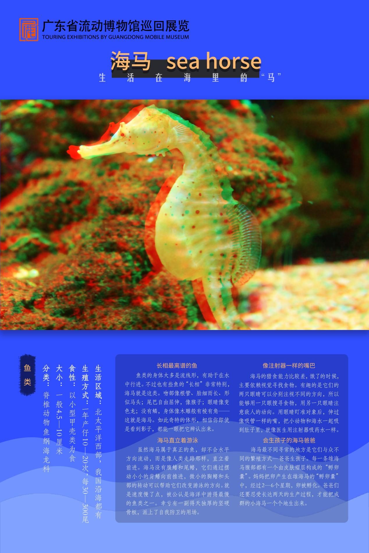 图片 14.jpg