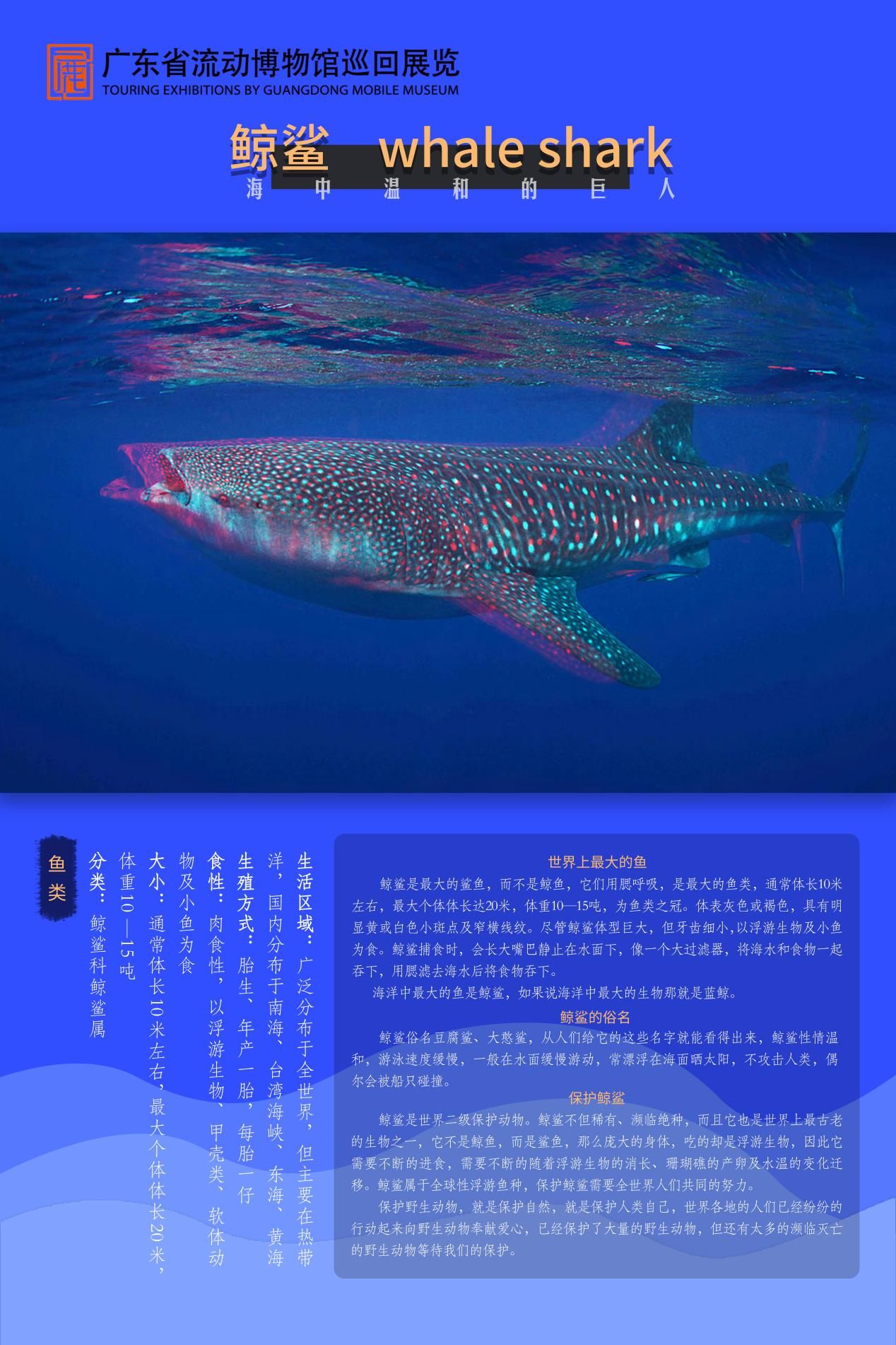 图片 23.jpg