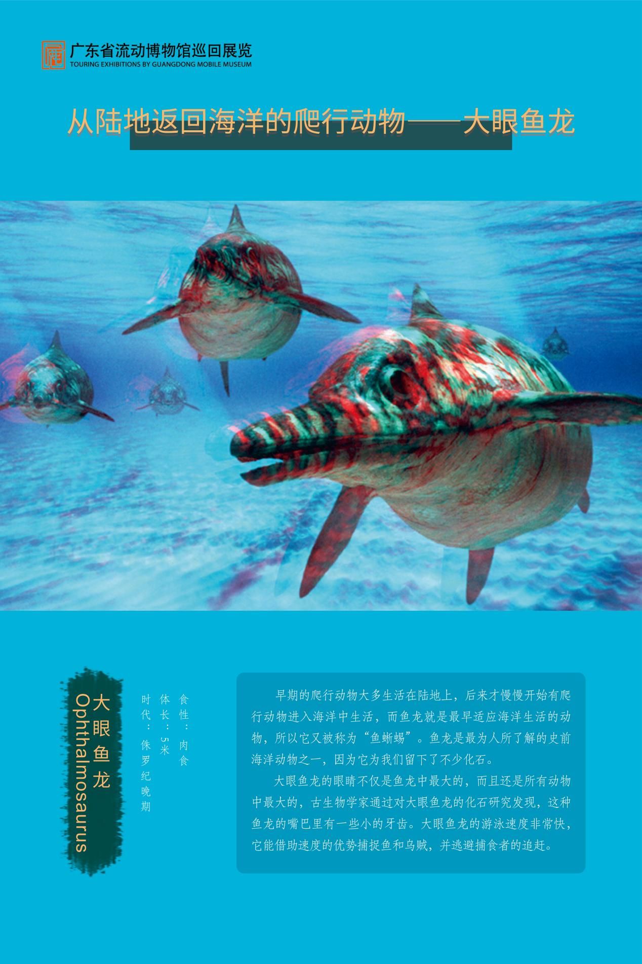 图片 33.jpg