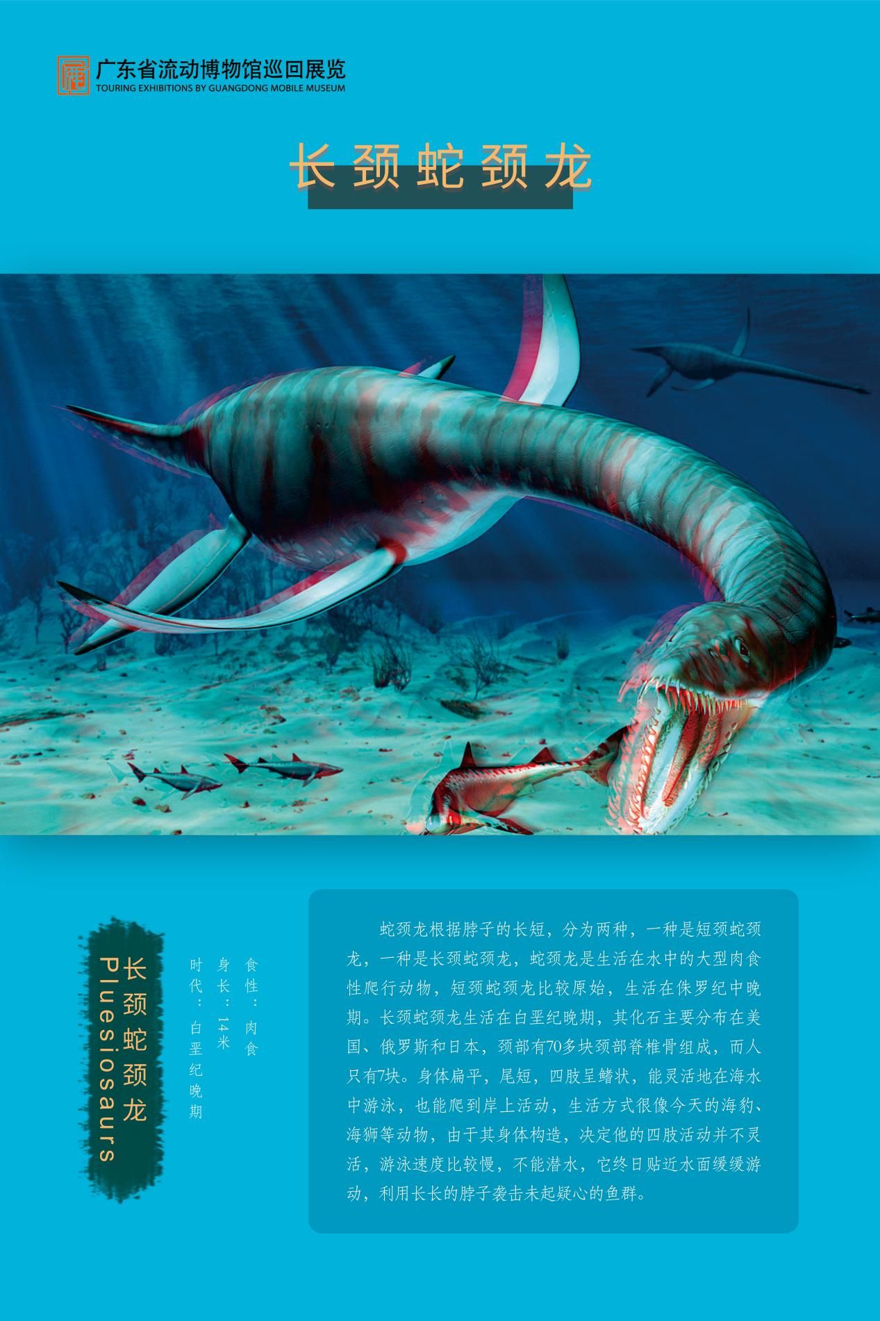 图片 42.jpg