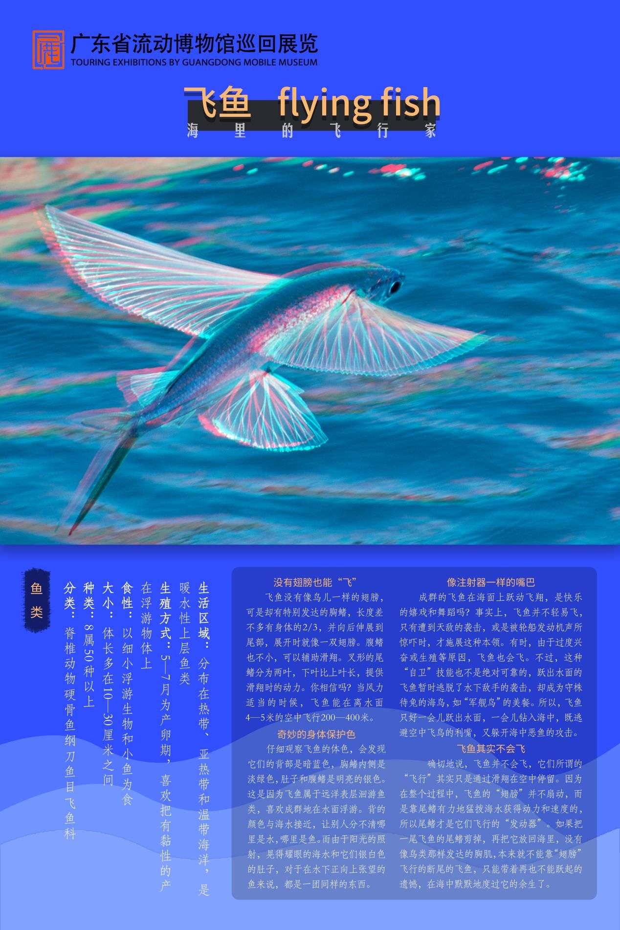 图片 20.jpg