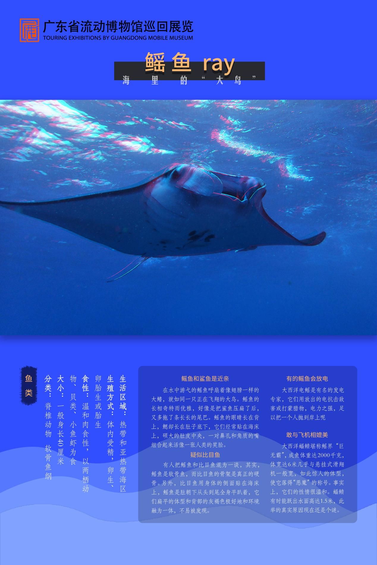 图片 12.jpg