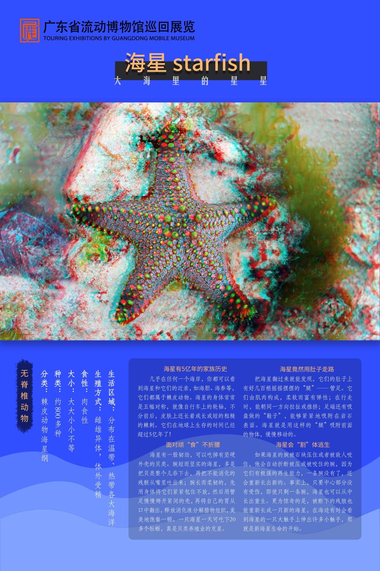 图片 10.jpg