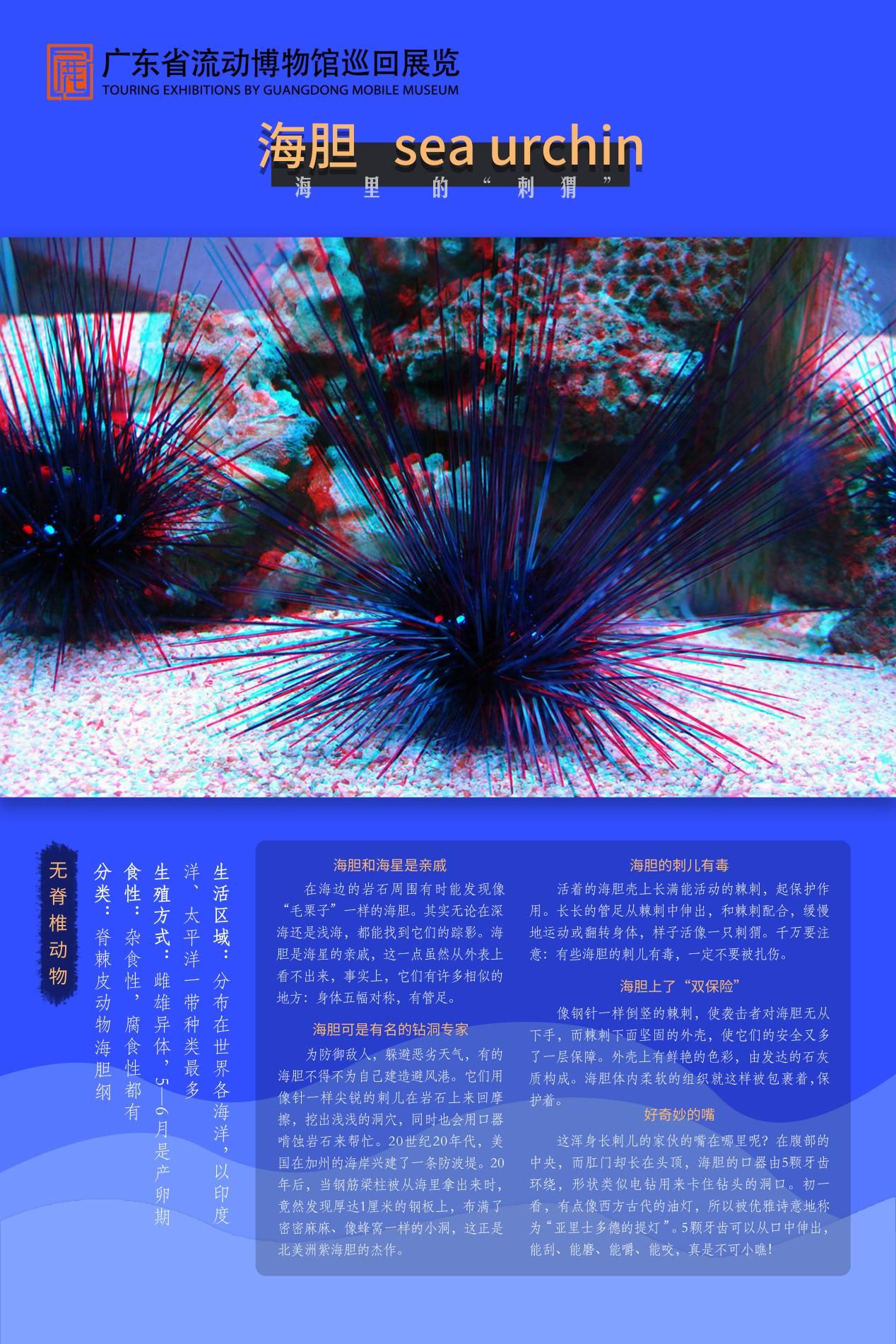 图片 11.jpg