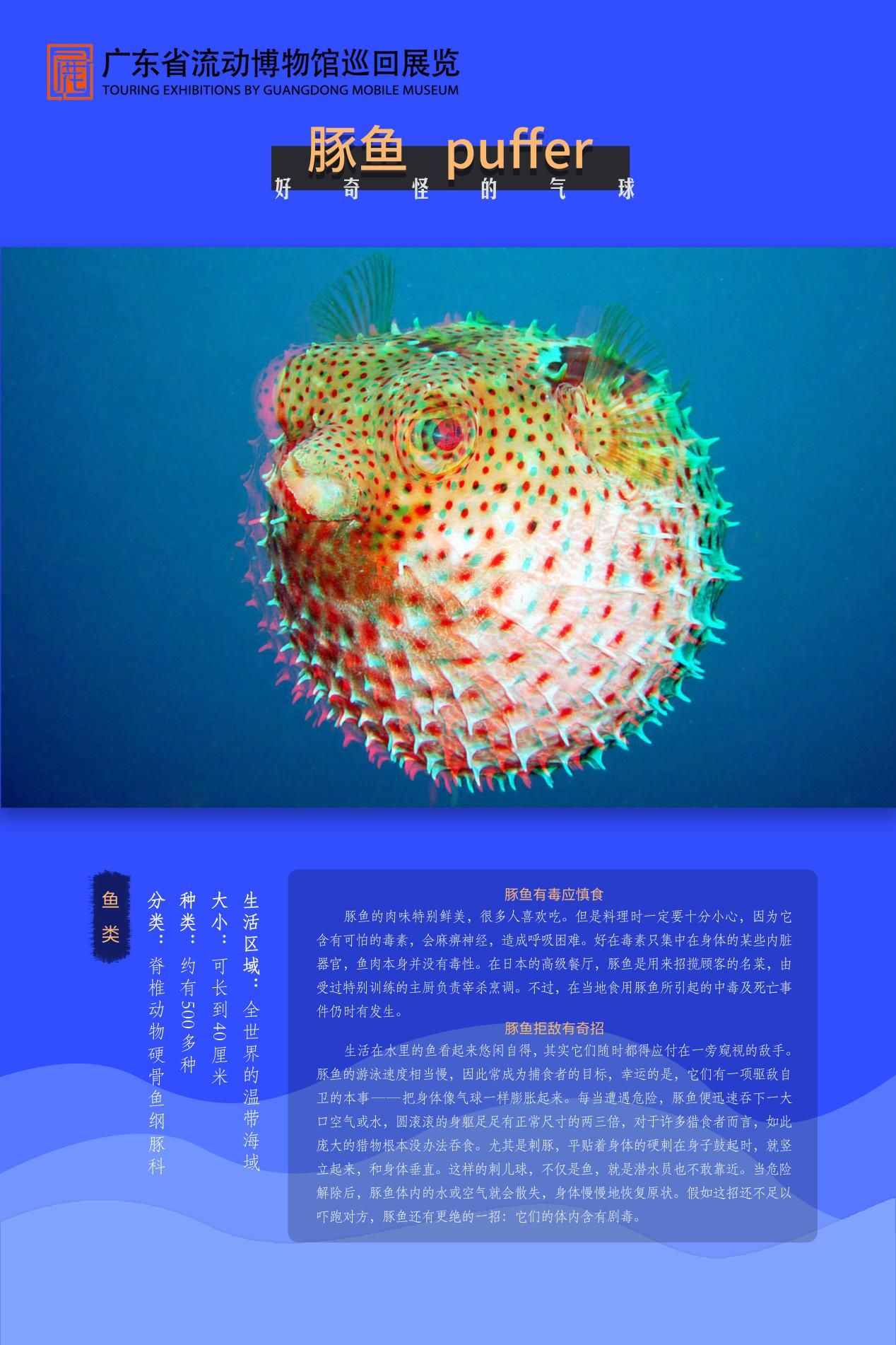 图片 19.jpg