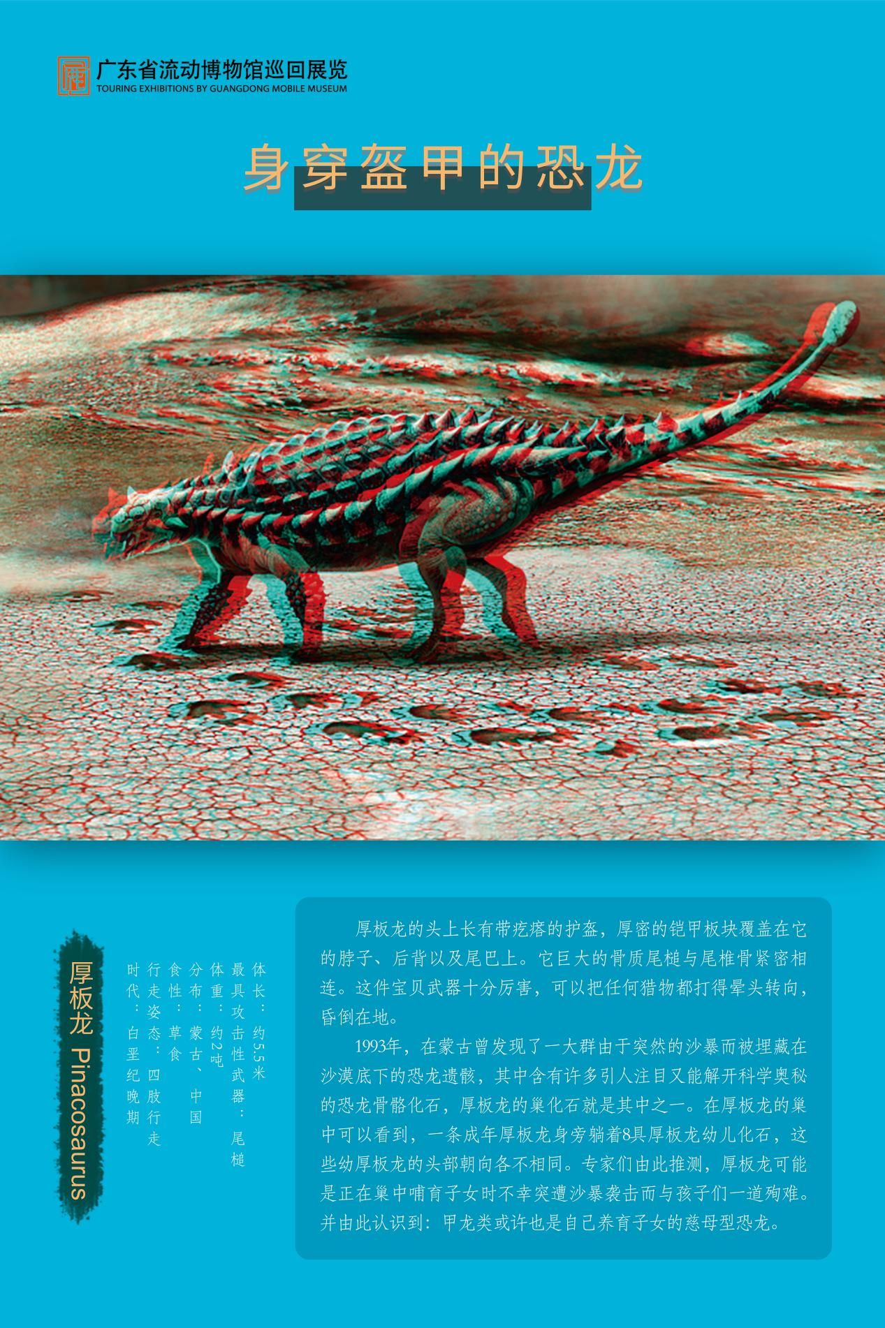 图片 44.jpg