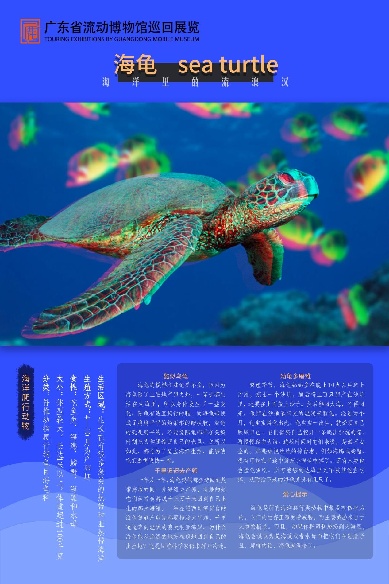 图片 22.jpg