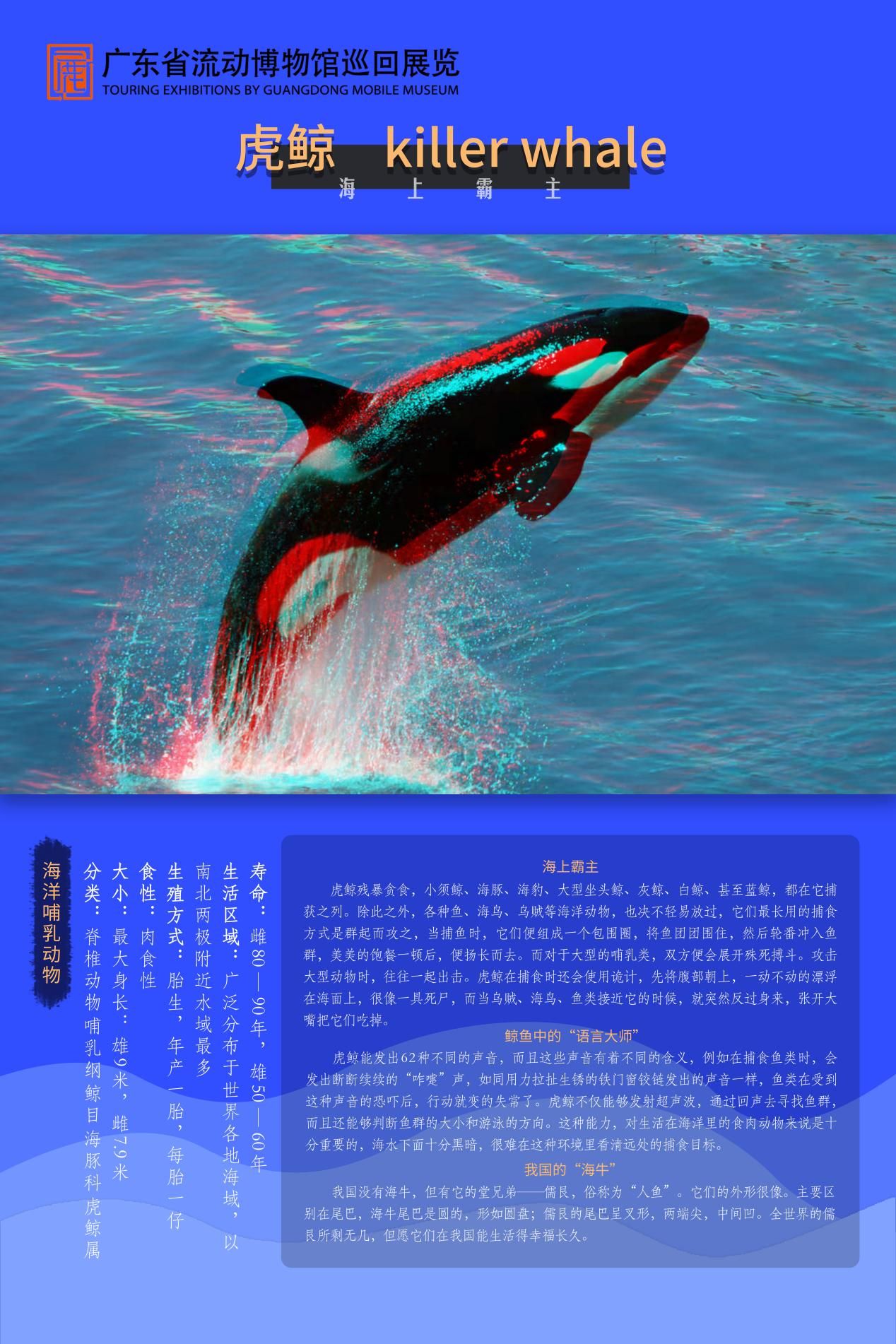 图片 25.jpg