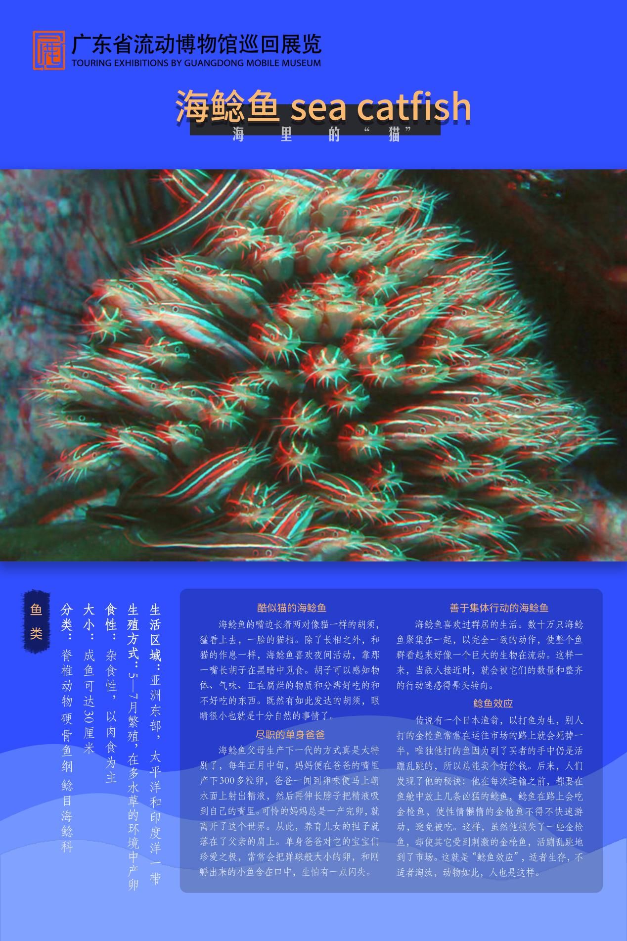 图片 15.jpg