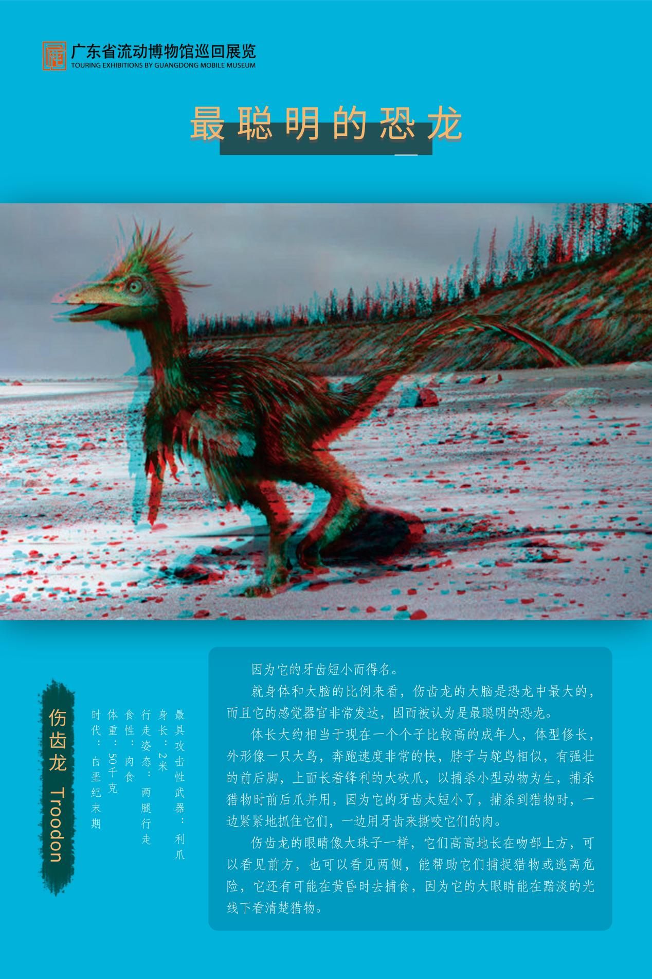 图片 46.jpg
