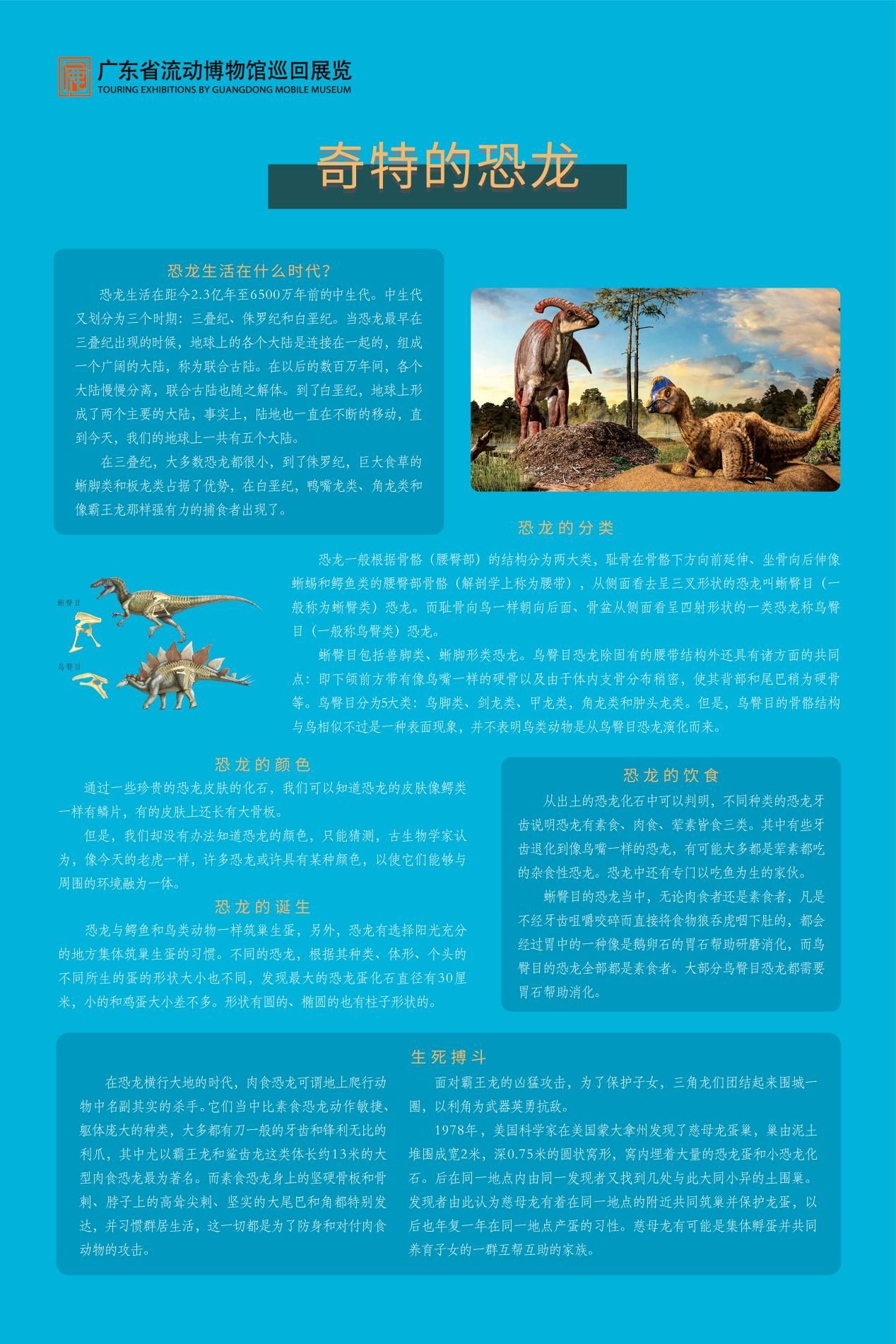 图片 28.jpg