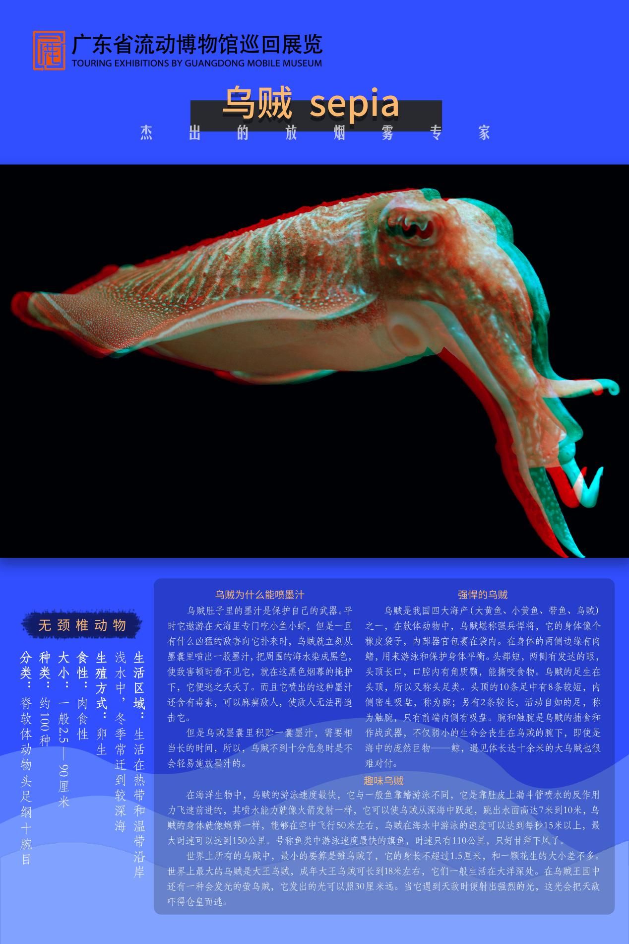 图片 9.jpg