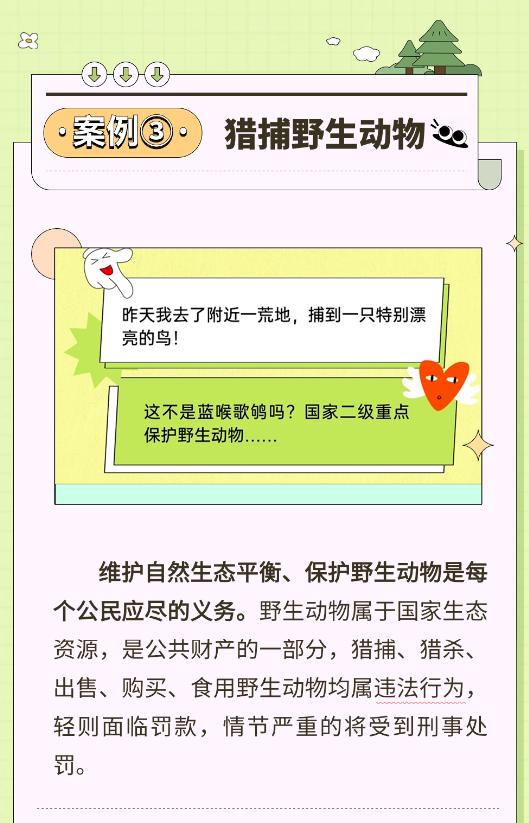 图片7.jpg