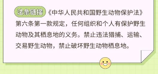 图片8.jpg
